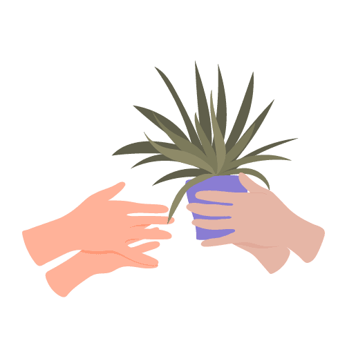 Illustration of hands exchanging a plant